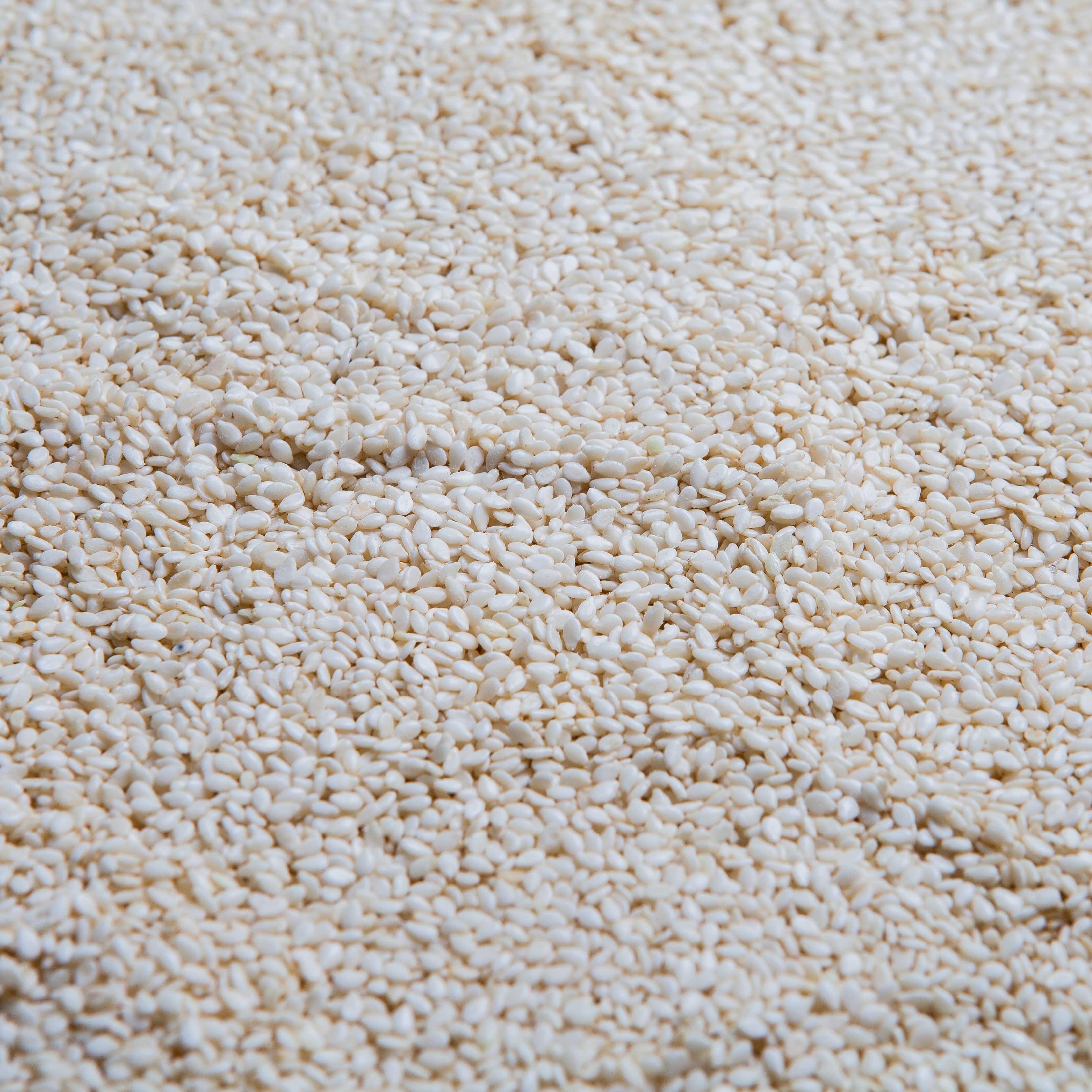 Silica Sand
